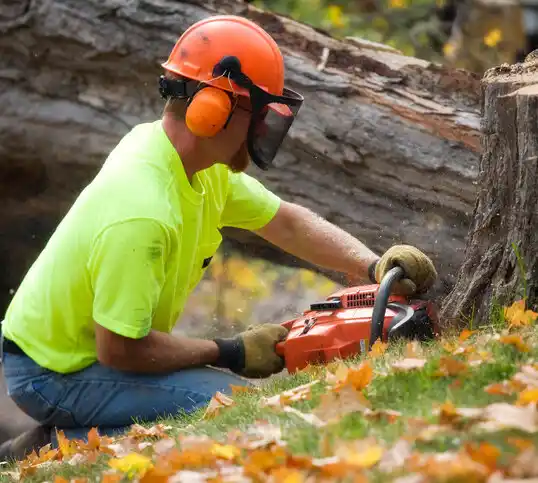 tree services Cottonwood